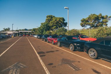 Ford Mustang ayakta üst üste Hawaii Adaları yüzlerce. Honolulu, Amerika Birleşik Devletleri. 30 Ağustos 2017.
