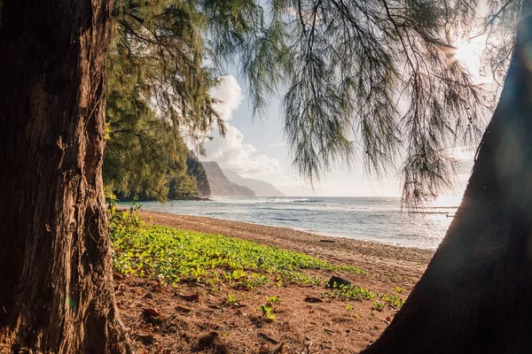 Beautiful Sunset Beach Island Kauai Pali Cliffs Paradise Island — Stock Photo, Image