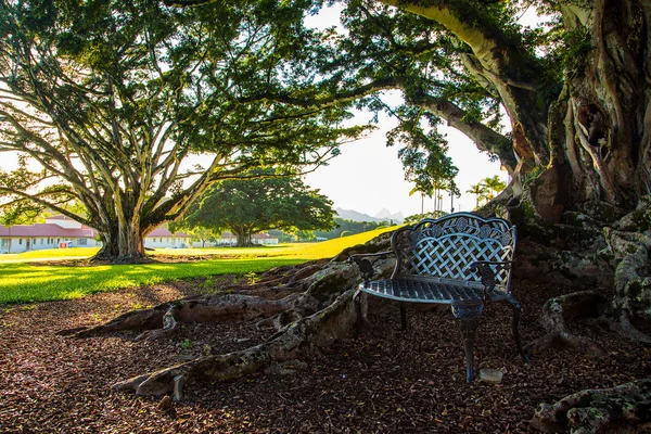 Vacker Park Med University Hawaii Solig Dag Nära Honolulu — Stockfoto