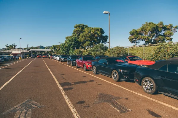 Centenas Ford Mustangs Uma Fileira Nas Ilhas Havaí Honolulu Eua — Fotografia de Stock