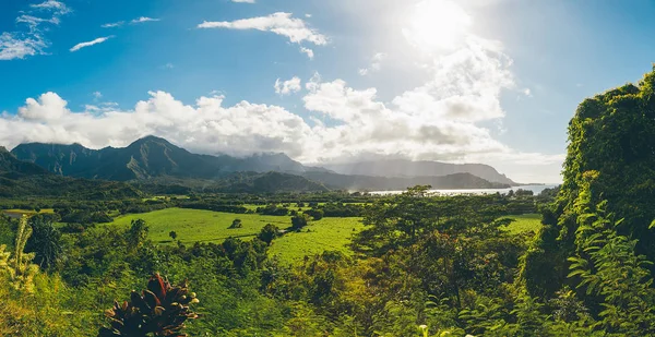 Güzel Doğa Kauai Adası Hawaii Abd Üzerinde Panoramik Dağlar Nehirler — Stok fotoğraf