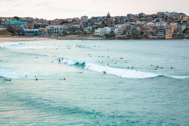 Sydney Bondi Beach sörfçü dalgaları ve kayalıklarla Körfezi çevresinde yüzme ile defne güzel manzara
