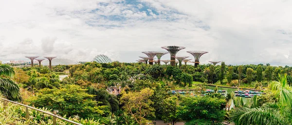 Singapur Oct Panorama Pohled Supertree Grove Zahradě Zálivu Říjen 2017 — Stock fotografie