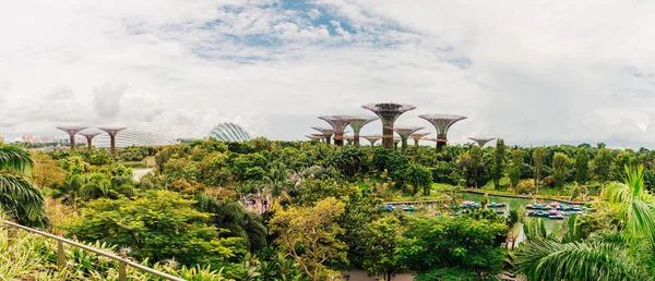 Singapur Oct Vista Panorámica Supertree Grove Gardens Bay Octubre 2017 — Foto de Stock