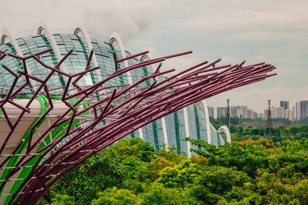 Singapore Mai 2017 Superbäume Gärten Der Bucht Die Baumartigen Strukturen — Stockfoto