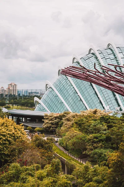Singapore Mai 2017 Superbäume Gärten Der Bucht Die Baumartigen Strukturen — Stockfoto