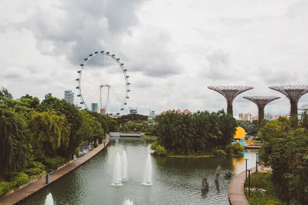 Singapore Mai 2017 Riesenrad Singapore Flyer Der Nähe Der Gärten — Stockfoto