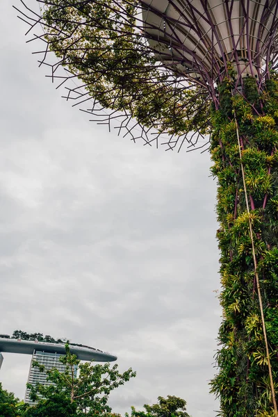 Singapore Maj 2017 Supertrees Gardens Bay Trädliknande Strukturerna Försedda Med — Stockfoto