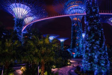 20 Mayıs 2017. Singapur. Supertrees Gardens koy ve Singapur cityscape tarafından gece manzarası. Avatar film gibi şaşırtıcı dünya.