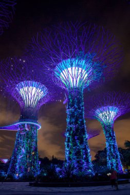 20 Mayıs 2017. Singapur. Supertrees Gardens koy ve Singapur cityscape tarafından gece manzarası. Avatar film gibi şaşırtıcı dünya.