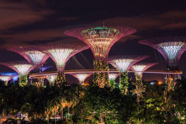 20 Mayıs 2017. Singapur. Supertrees Gardens koy ve Singapur cityscape tarafından gece manzarası. Avatar film gibi şaşırtıcı dünya.