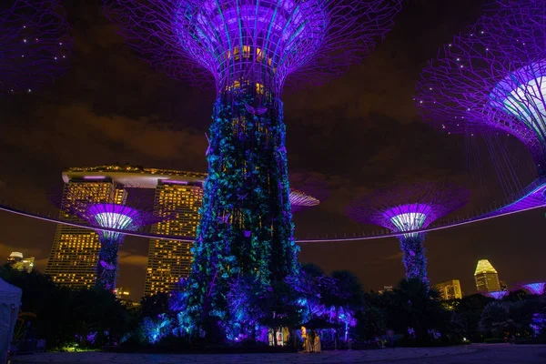Května 2017 Singapur Noční Pohled Putování Jedem Zahradách Bay Panoráma — Stock fotografie