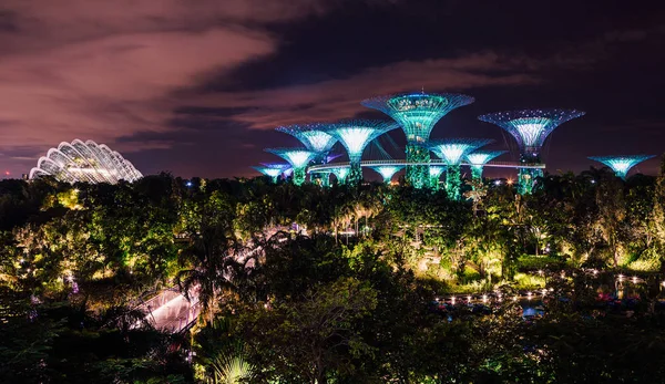 Μαΐου 2017 Σιγκαπούρη Νυχτερινή Άποψη Του Supertrees Στο Κήπο Από — Φωτογραφία Αρχείου