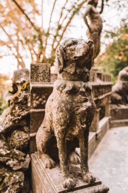 The Regaleira Sintra, Portekiz'de bulunan Palace (Quinta da Regaleira) mimari unsurları