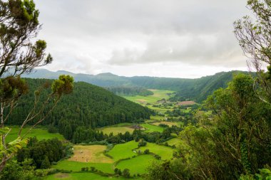 Güzel doğa manzaralı küçük köylerde, römorkörler, yeşil doğa alanları Azores. Şaşırtıcı Azores.