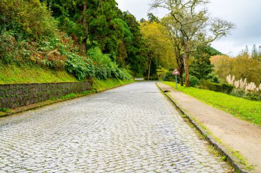 Güzel doğa manzaralı küçük köylerde, römorkörler, yeşil doğa alanları Azores. Şaşırtıcı Azores.