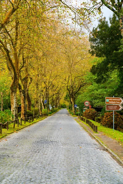 Güzel Doğa Manzaralı Küçük Köylerde Römorkörler Yeşil Doğa Alanları Azores — Stok fotoğraf