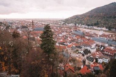 Almanya Heidelberg eski şehrin güzel havadan görünümü.