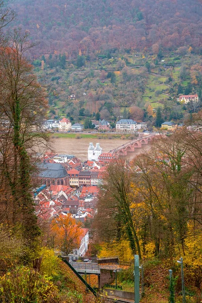 Vista Invierno Del Casco Antiguo Heidelberg Alemania Clásica Vista Naturaleza — Foto de Stock