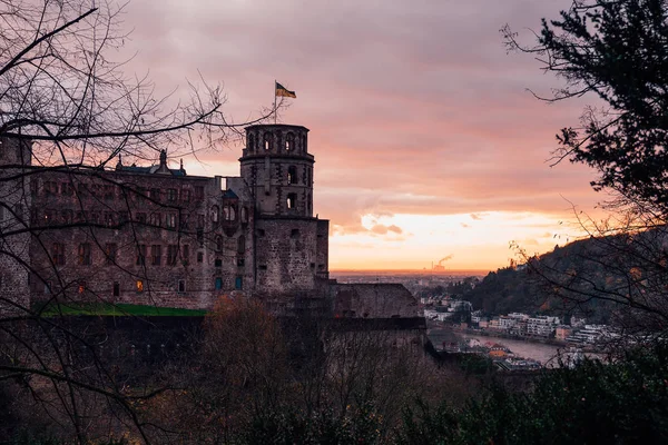 Vista Sobre Castillo Heidelberg Situado Cima Colina Ruinas Tradicionales Del — Foto de Stock