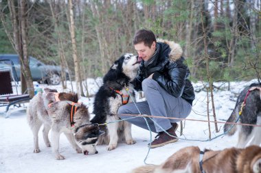 Genç adam tarafından kızakları kış orman sevimli husky köpekleri ile oynarken.