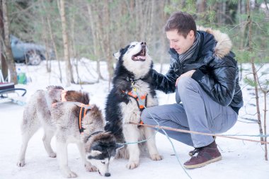 Genç adam tarafından kızakları kış orman sevimli husky köpekleri ile oynarken.