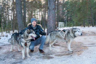 Genç adam tarafından kızakları kış orman sevimli husky köpekleri ile oynarken.