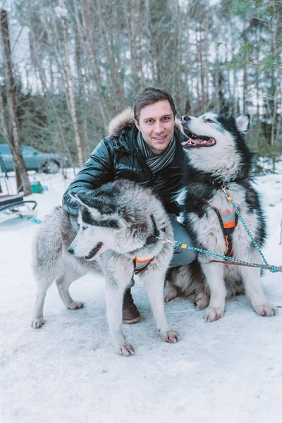 Молодий Чоловік Грає Милими Чоловічими Собаками Зимовому Лісі Санях — стокове фото