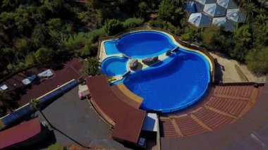 Maspalomas, Gran Canaria, İspanya Palmitos Park'ta yunuslar göster. Havadan görünümü.