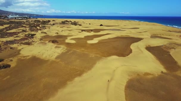 Vista Aérea Belo Deserto Nas Dunas Maspalomas Junto Oceano Atlântico — Vídeo de Stock