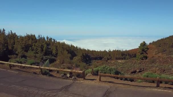 雲の上のテネリフェ島の森林の美しい自然の風景と空撮 — ストック動画