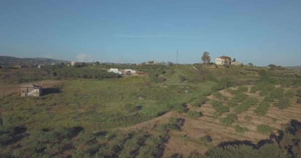 Vista Aérea Los Viñedos Campos Verdes Italia — Vídeo de stock