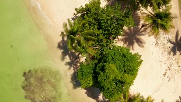 Luchtfoto Van Pigeon Point Tobago Trinidad Tobago Caribische Zee West — Stockvideo