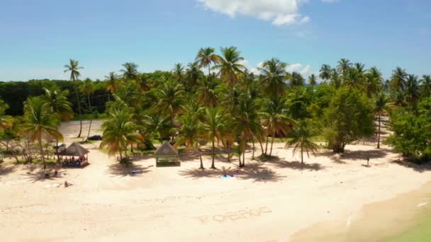 Vue aérienne de Pigeon Point, Tobago, Trinité-et-Tobago, Mer des Caraïbes, Antilles, plage dorée à Trinité-et-Tobago .