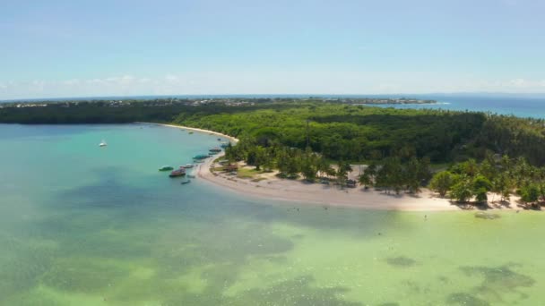 Luftaufnahme Der Taubenspitze Tobago Trinidad Und Tobago Karibik Westindien Goldener — Stockvideo