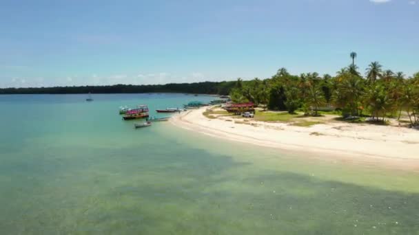 Veduta Aerea Del Piccione Point Tobago Trinidad Tobago Mar Dei — Video Stock