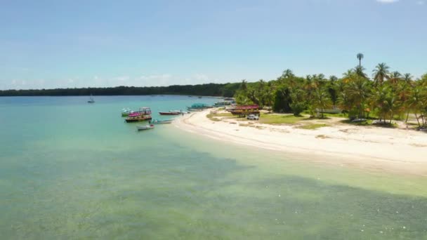 Luchtfoto Van Pigeon Point Tobago Trinidad Tobago Caribische Zee West — Stockvideo