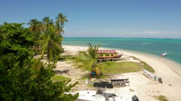 Luftaufnahme Der Taubenspitze Tobago Trinidad Und Tobago Karibik Westindien Goldener — Stockvideo