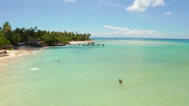 Légi Kilátás Galamb Point Tobago Trinidad Tobago Karib Tenger Nyugat — Stock videók