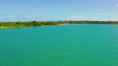 Karayip denizindeki Tobago adasının güzel hava manzarası. Tropikal Idyllic Cennet Adası 'ndaki Palm Beach - Karayipler