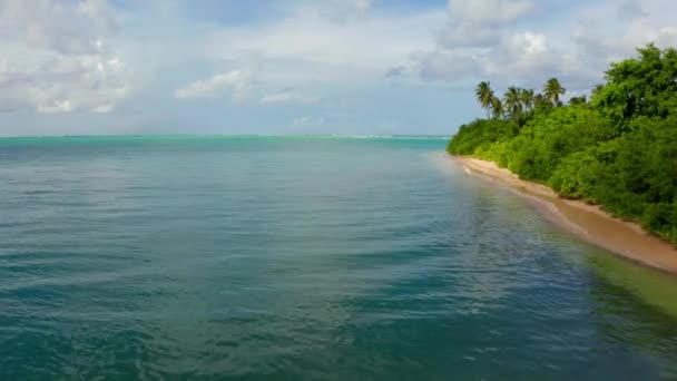 カリブ海のトバゴ島の美しい空の景色 熱帯イディルパラダイス島のパームビーチ カリブ海 — ストック動画