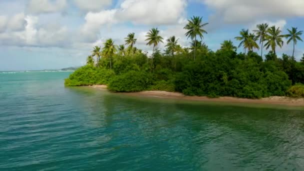 Чудовий Вигляд Острів Тобаго Карибському Морі Пальмовий Пляж Тропічному Острові — стокове відео