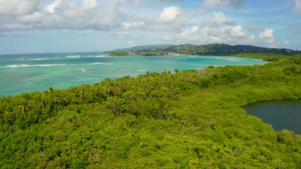 加勒比海中多巴哥岛美丽的海景 热带Idyllic天堂岛棕榈滩 加勒比 — 图库视频影像