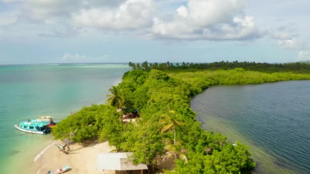 Hermosa Vista Aérea Isla Tobago Mar Caribe Palm Beach Isla — Vídeos de Stock