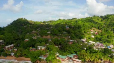 Karayip denizindeki Tobago adasının güzel hava manzarası. Tropikal Idyllic Cennet Adası 'ndaki Palm Beach - Karayipler