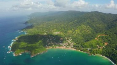 Karayip denizindeki Tobago adasının güzel hava manzarası. Tropikal Idyllic Cennet Adası 'ndaki Palm Beach - Karayipler
