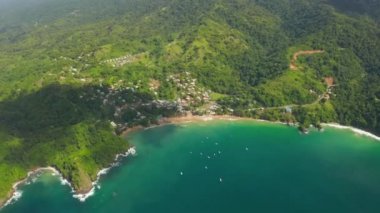 Karayip denizindeki Tobago adasının güzel hava manzarası. Tropikal Idyllic Cennet Adası 'ndaki Palm Beach - Karayipler