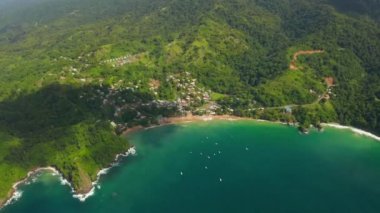Karayip denizindeki Tobago adasının güzel hava manzarası. Tropikal Idyllic Cennet Adası 'ndaki Palm Beach - Karayipler