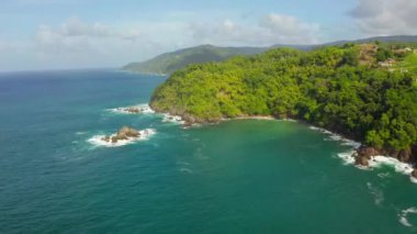 Karayip denizindeki Tobago adasının güzel hava manzarası. Tropikal Idyllic Cennet Adası 'ndaki Palm Beach - Karayipler