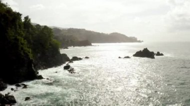 Karayip denizindeki Tobago adasının güzel hava manzarası. Tropikal Idyllic Cennet Adası 'ndaki Palm Beach - Karayipler 